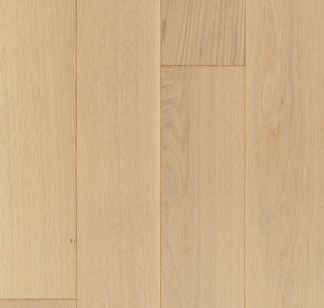 Bienville - Product image