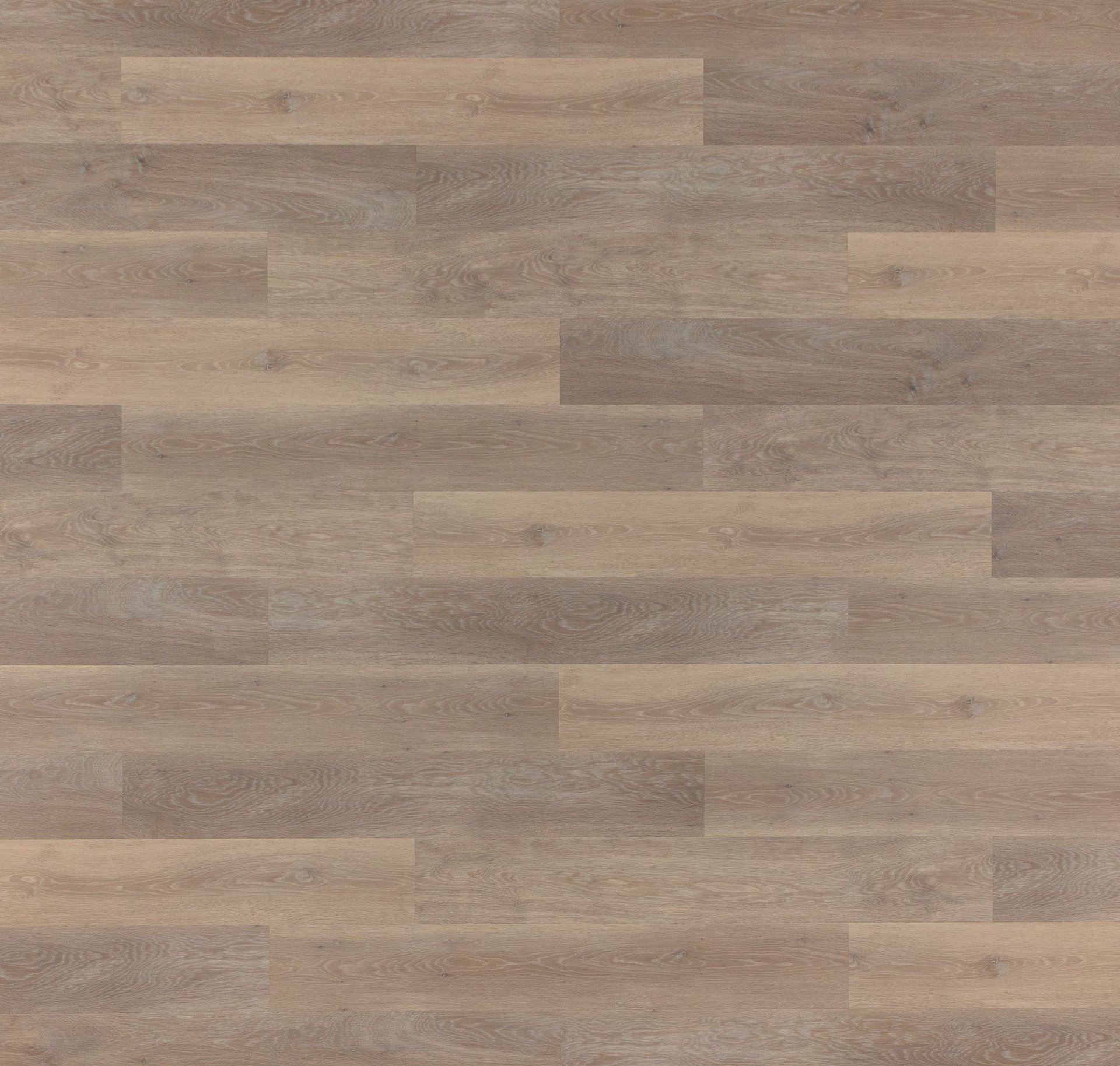 12mil Studio 12 Vinyl Plank Flooring - Product image