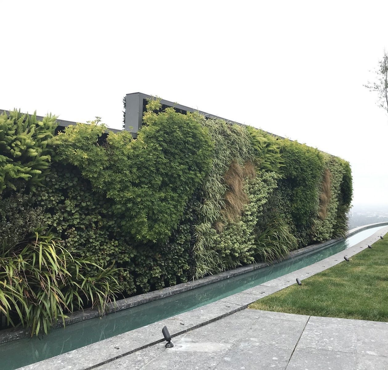 Deep Green - Replica Foliage For Planters & Replica Plant Wall Covering Customization - Product image