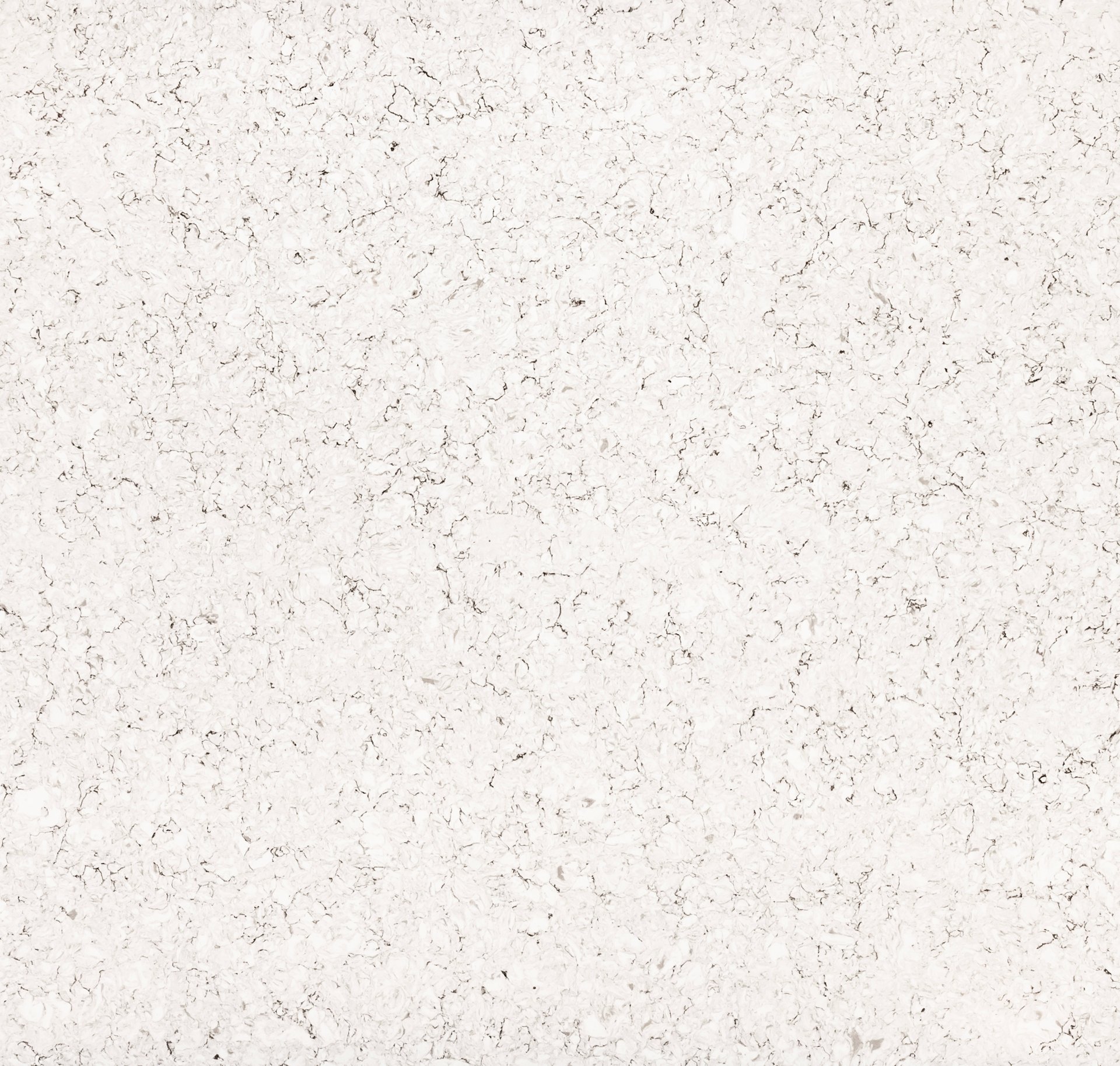 Arctic Silhouette - Product image