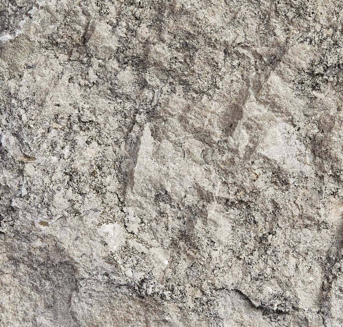Fleuri Natural Stone Veneer - Product image