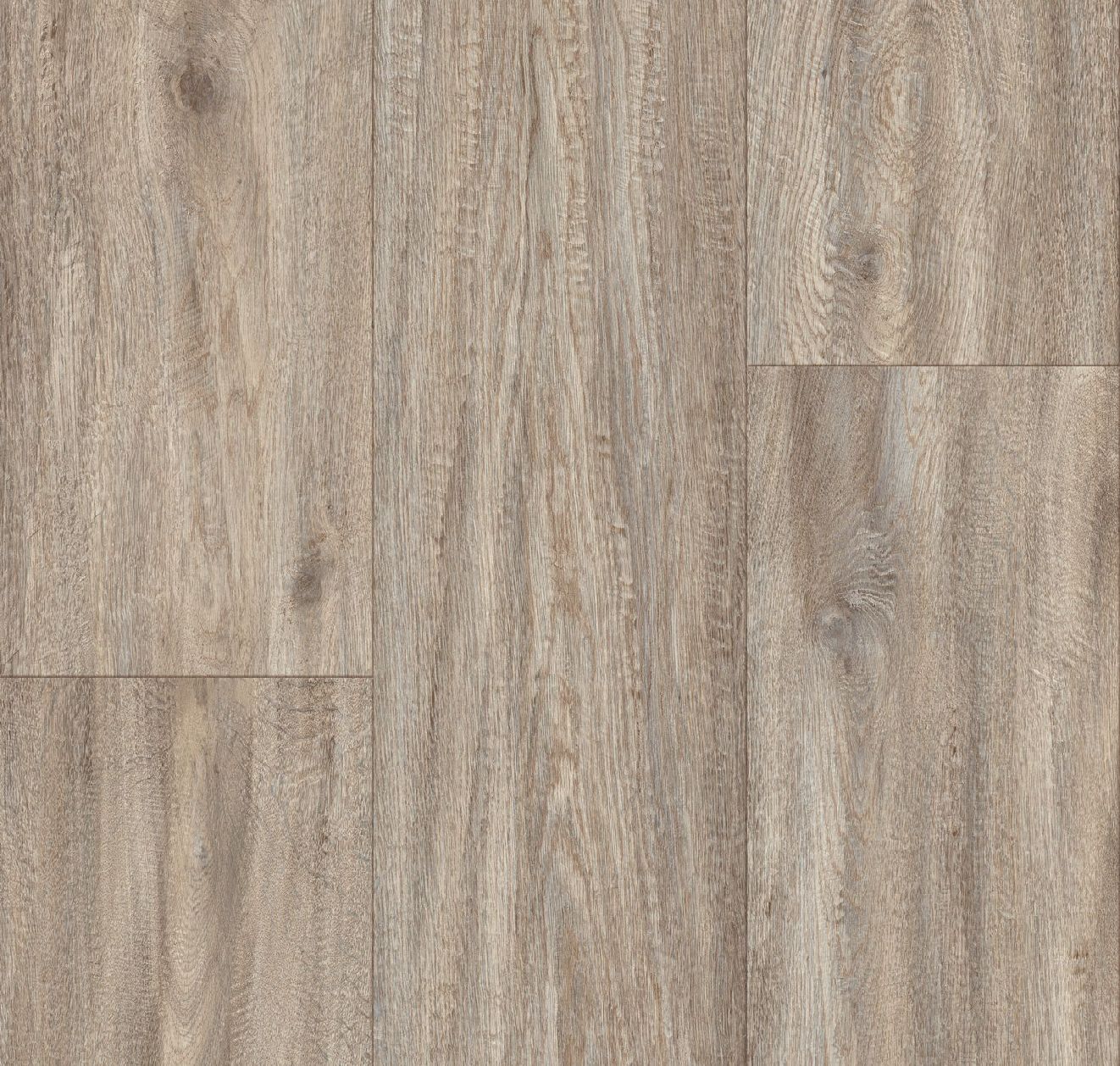 Biome - Product image
