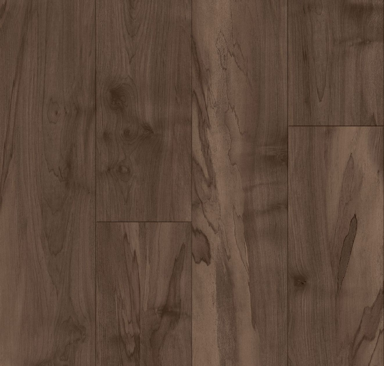 Biome - Product image