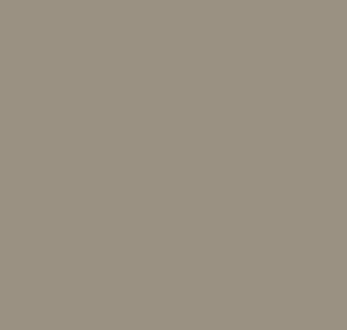 Anti-fingerprint Color - Product image