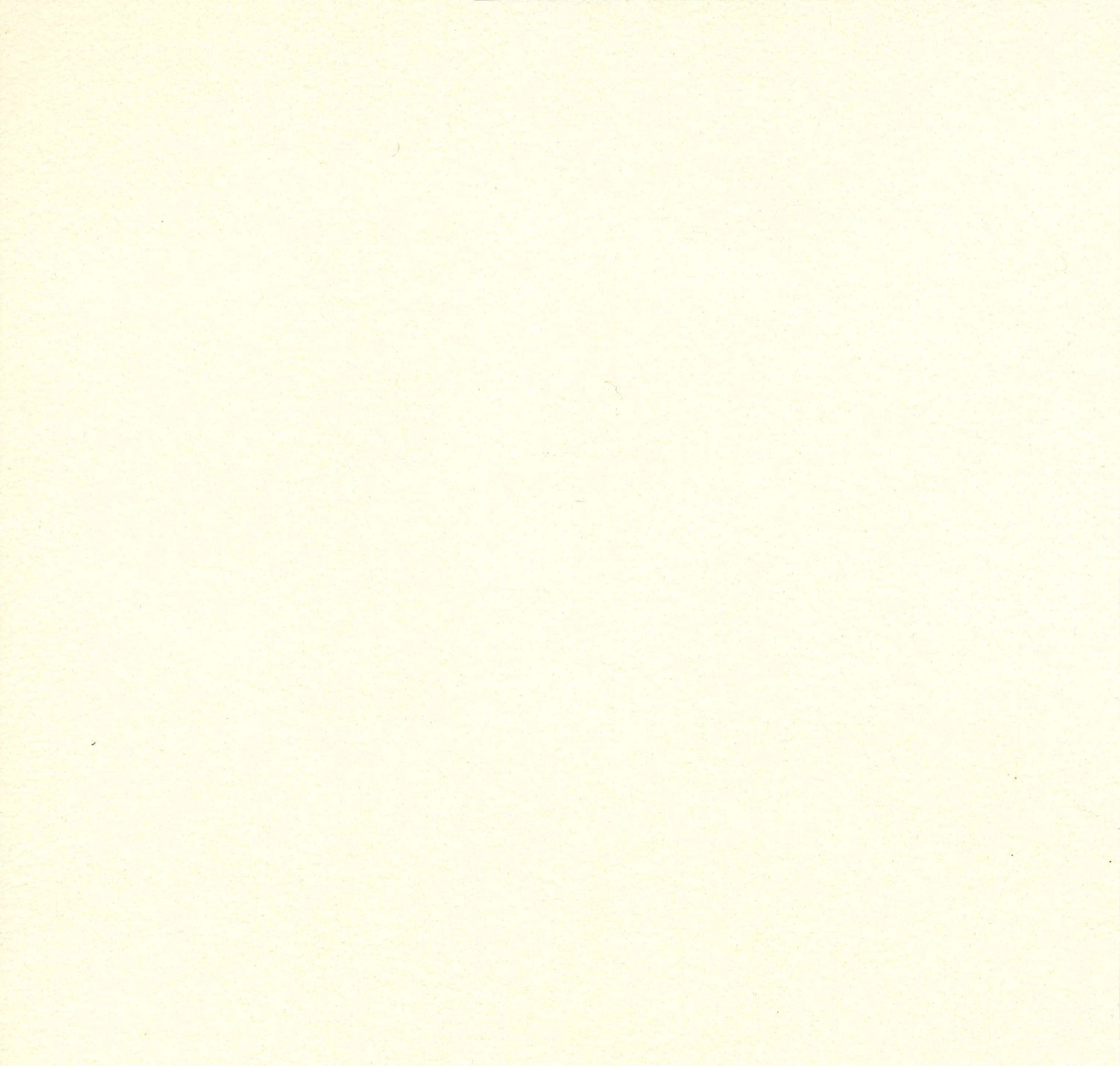 Avant - Product image