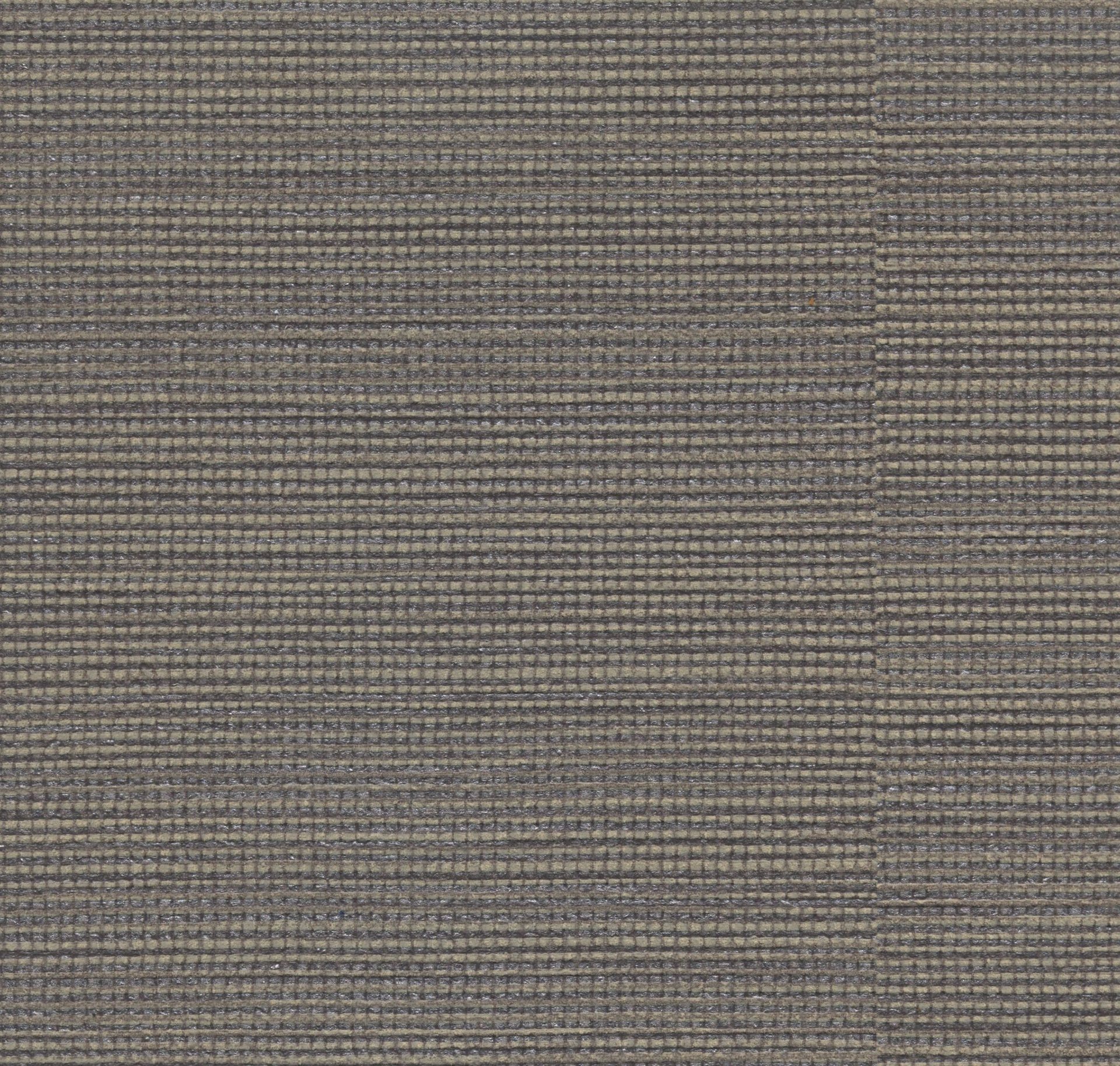 Agave - Product image