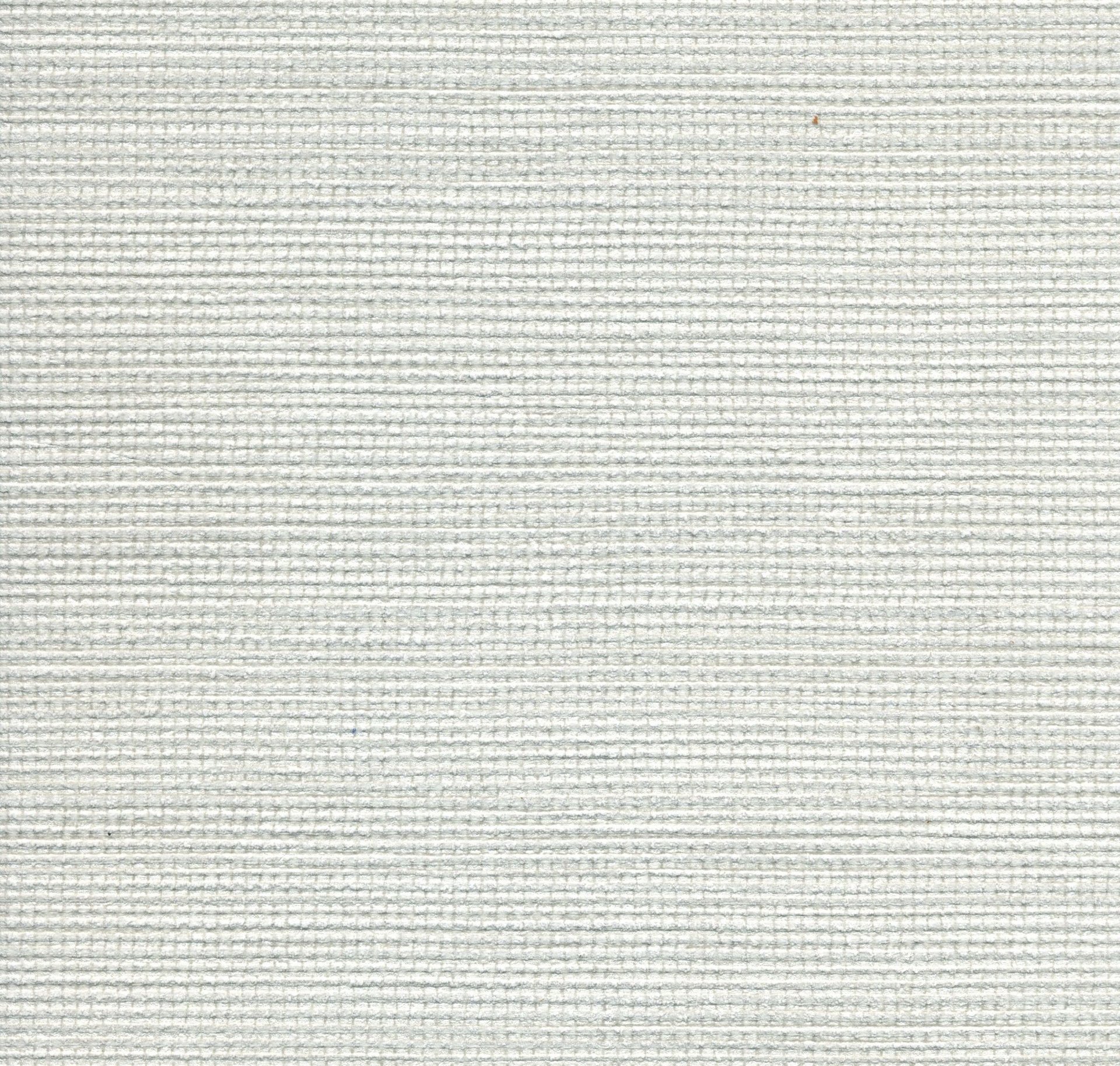 Agave - Product image