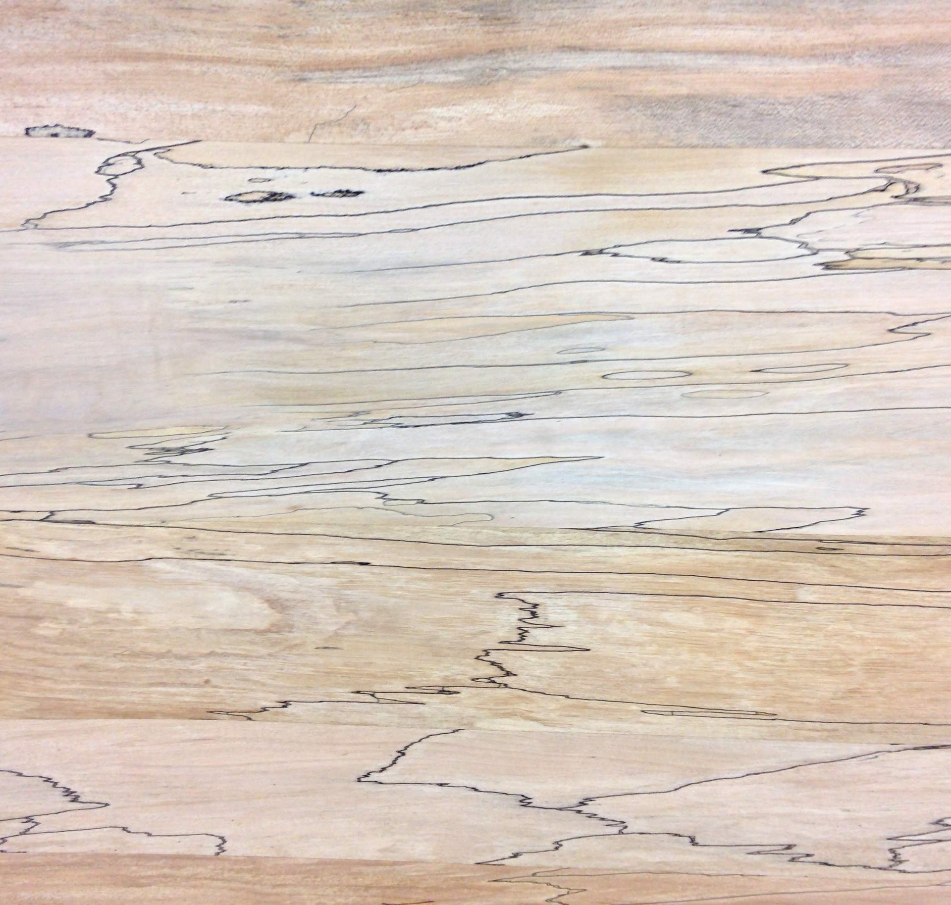 Unfinished Spalted Maple Plywood - Product image