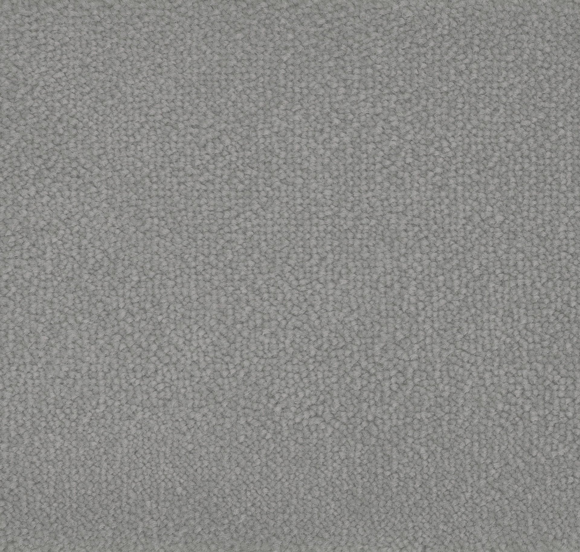 Bloom Back - Product image