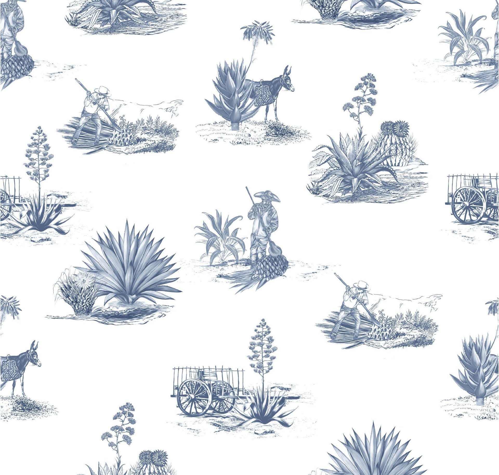 Agave Harvest - Product image