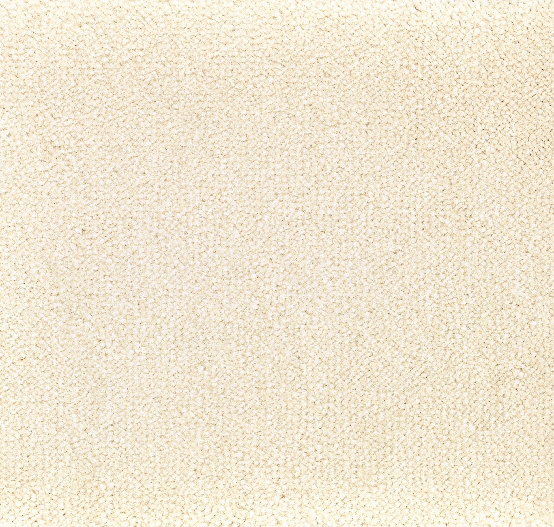 Bloom Back - Product image