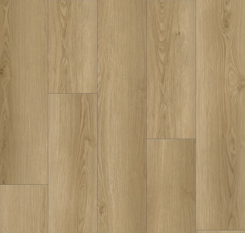 Elevate Gunnison Click - Product image