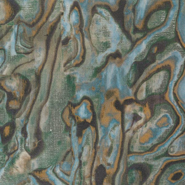 Abalone - Product image