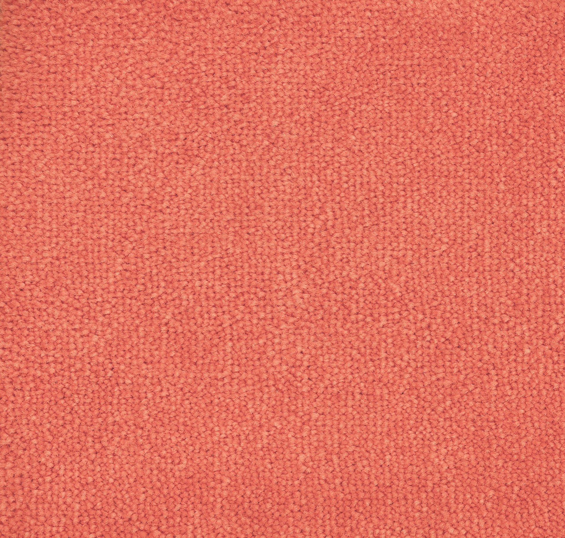 Bloom Back - Product image