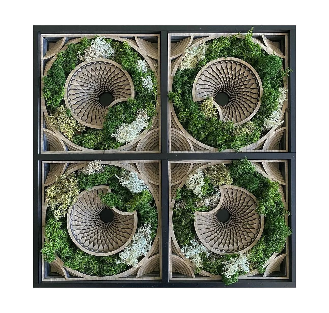 Earthly Paradise - Forbidden Fruit - Product image