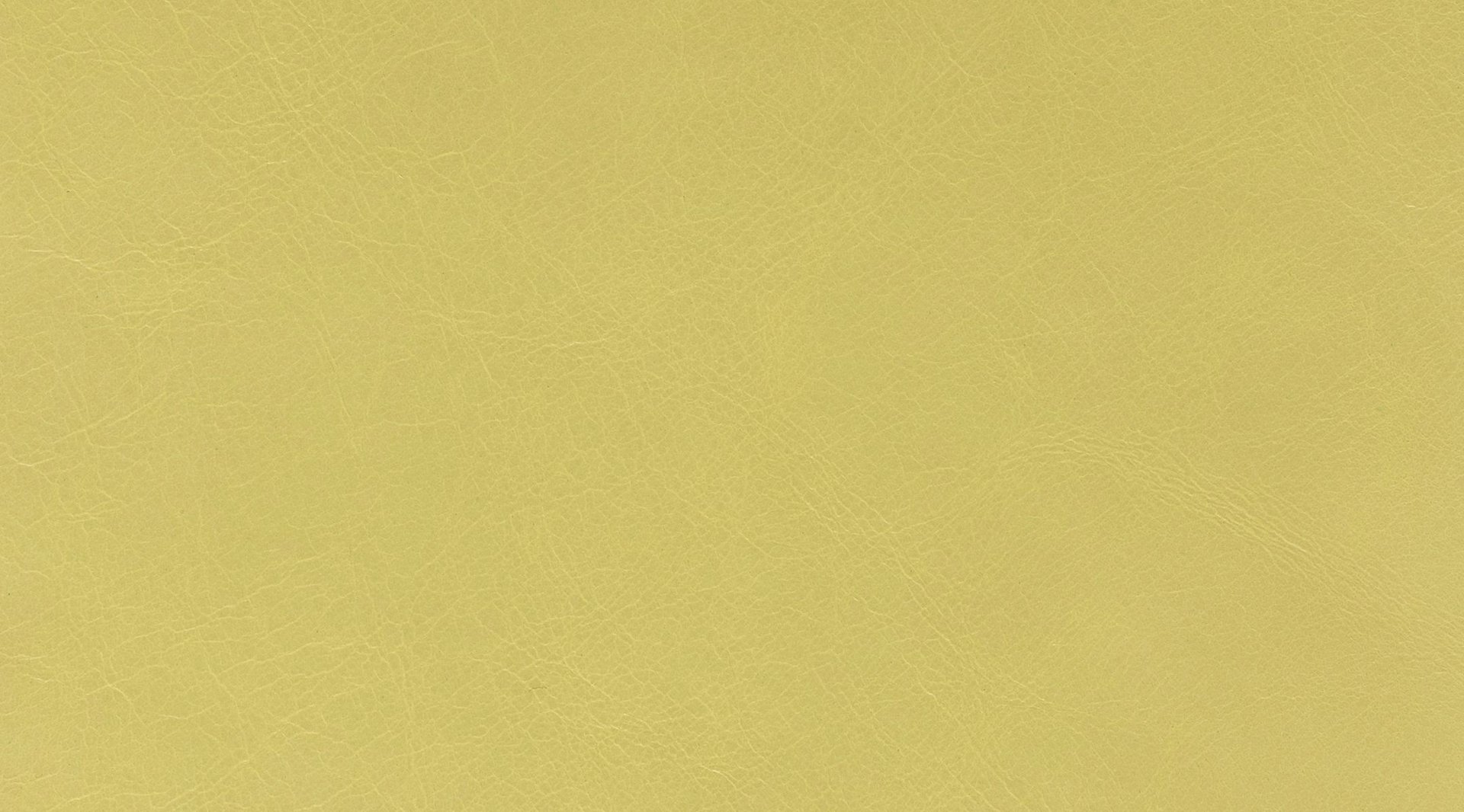 Cortina Leathers lifestyle