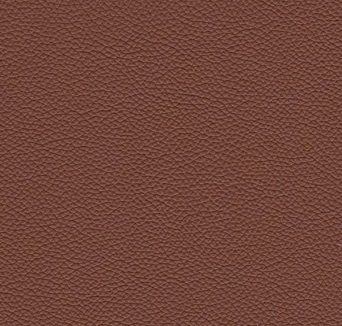 Alpha - Product image