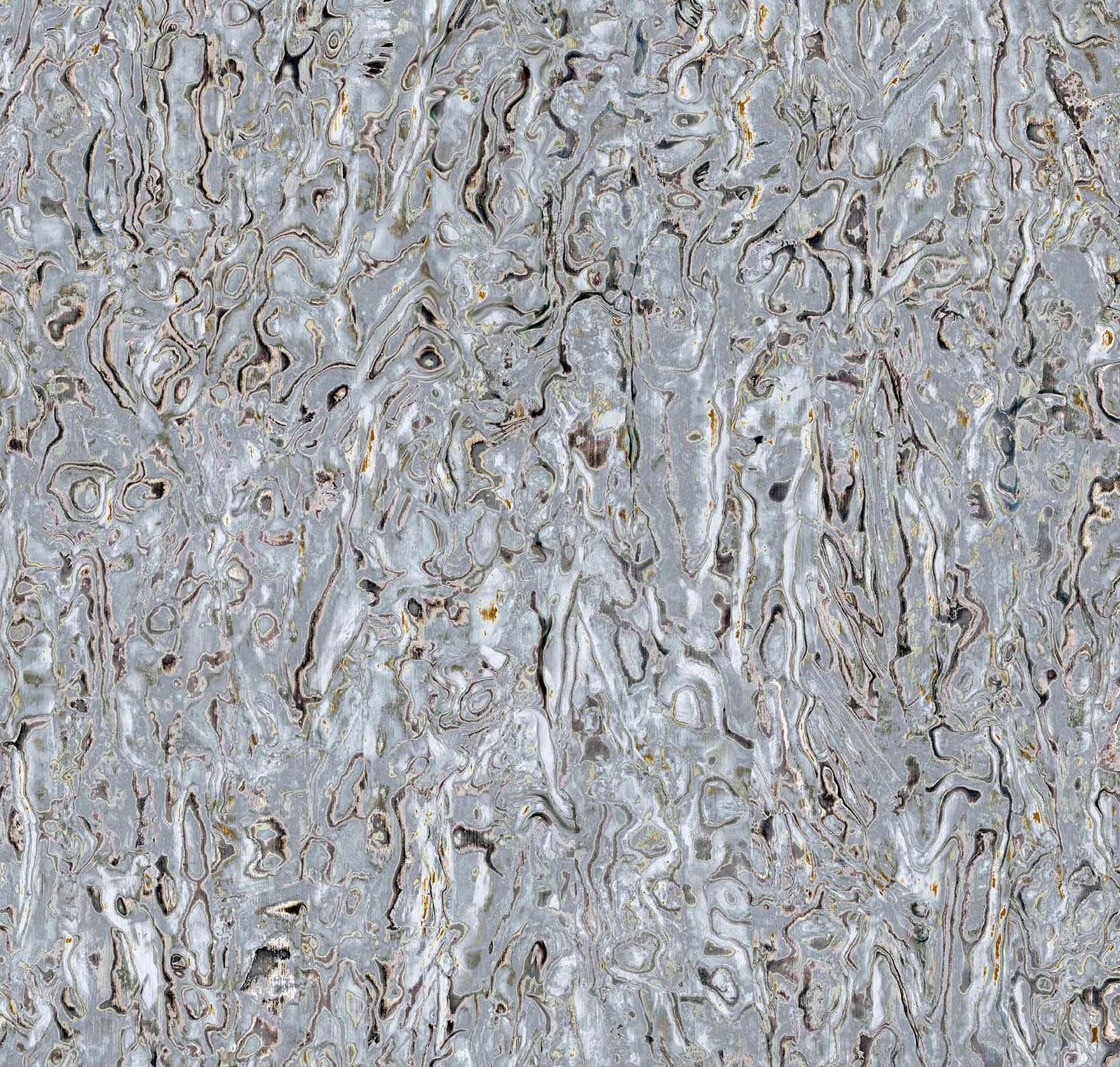Abalone - Product image