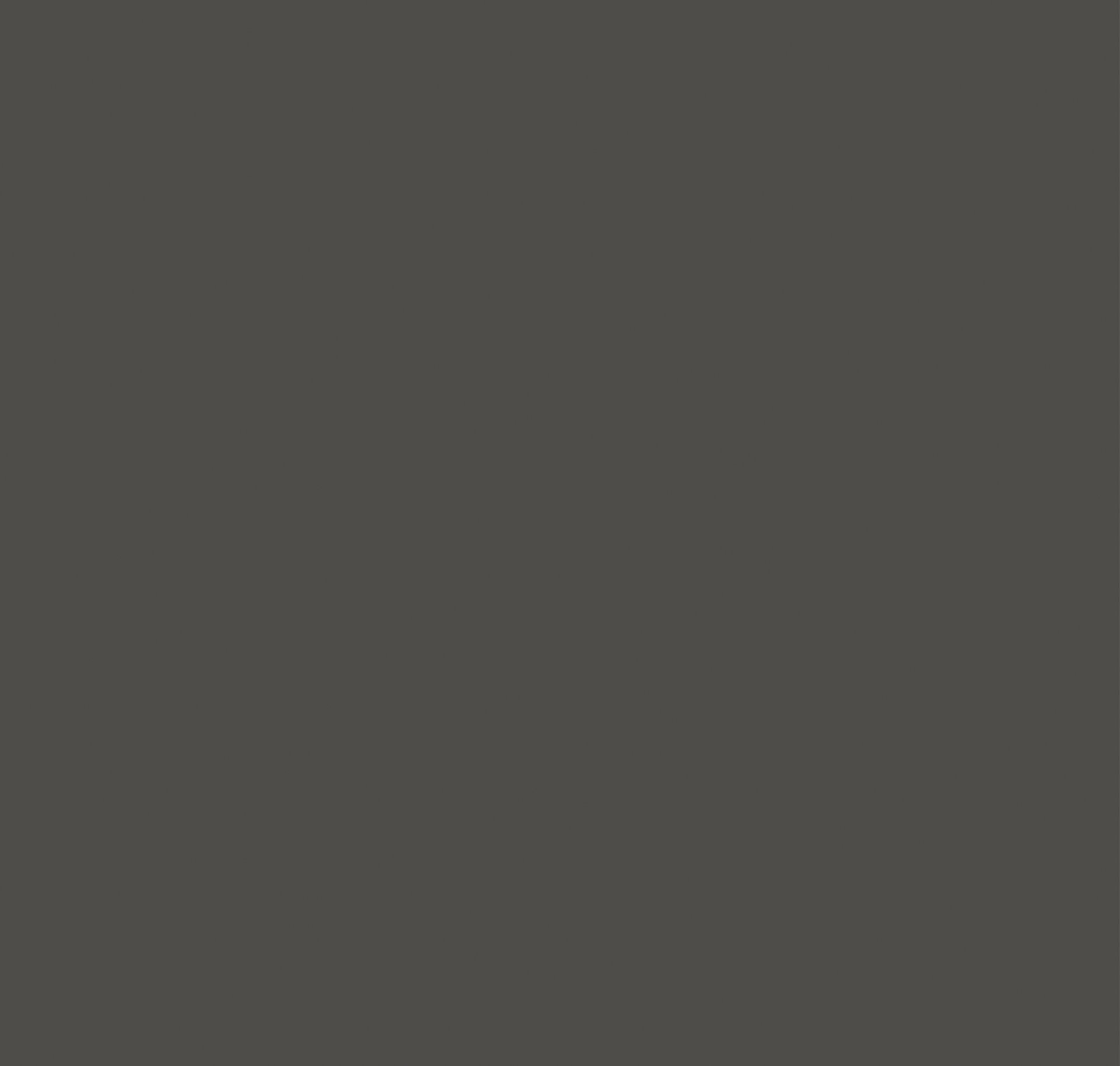 0EA Grigio Antracite - Topmatt - Product image