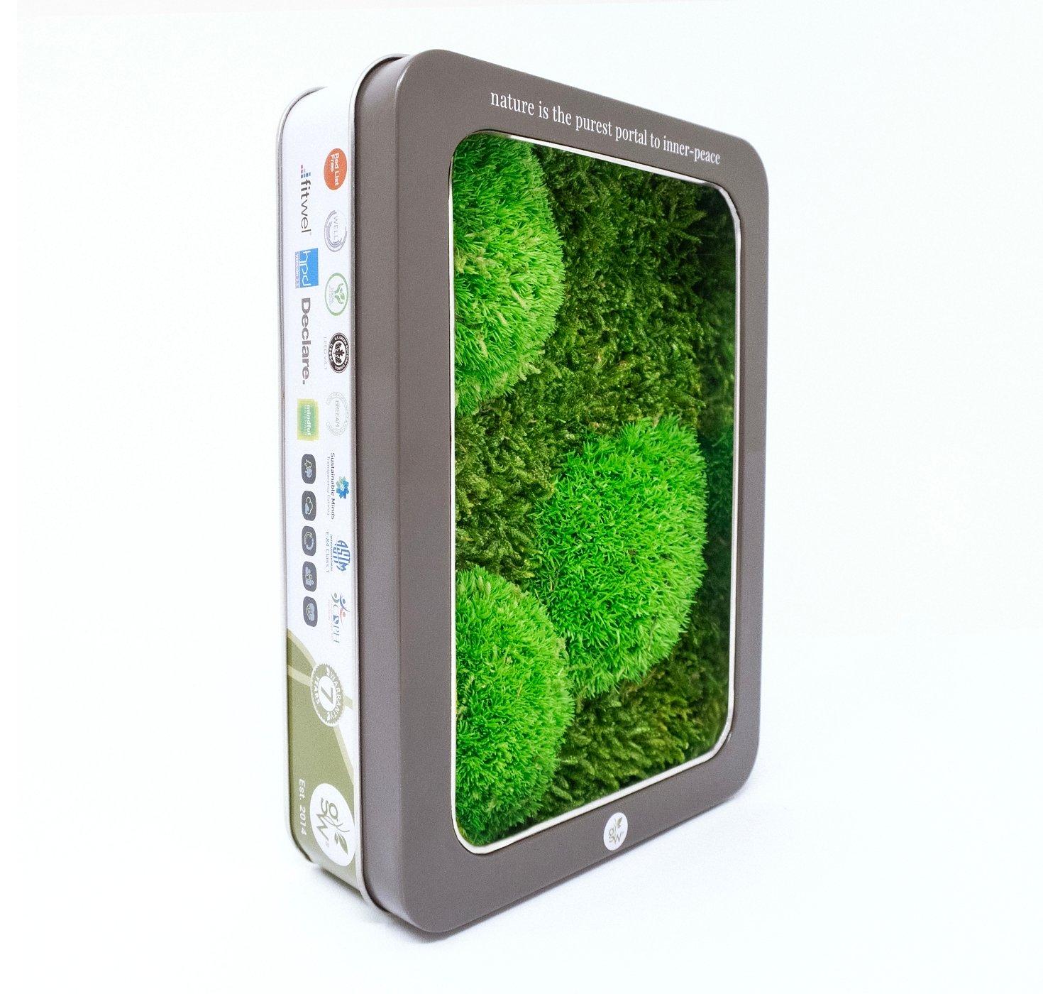 Preserved Moss & Foliage Garden Combination - Product image