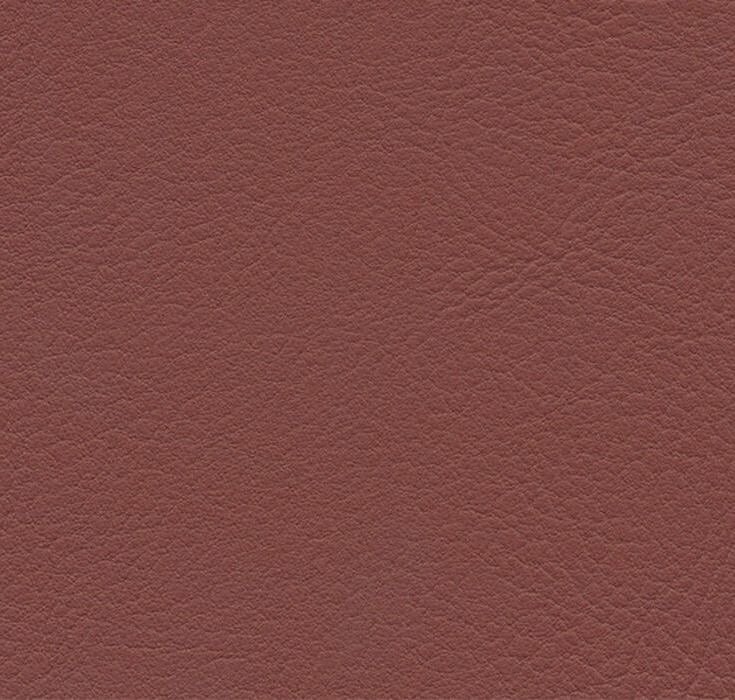 skai® Evida - Product image
