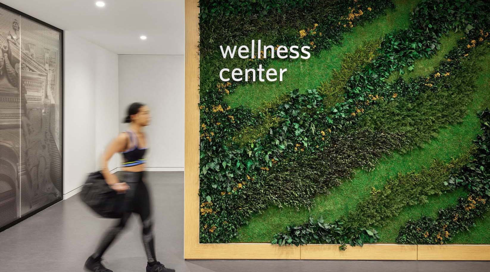 Garden on the Wall gallery 1