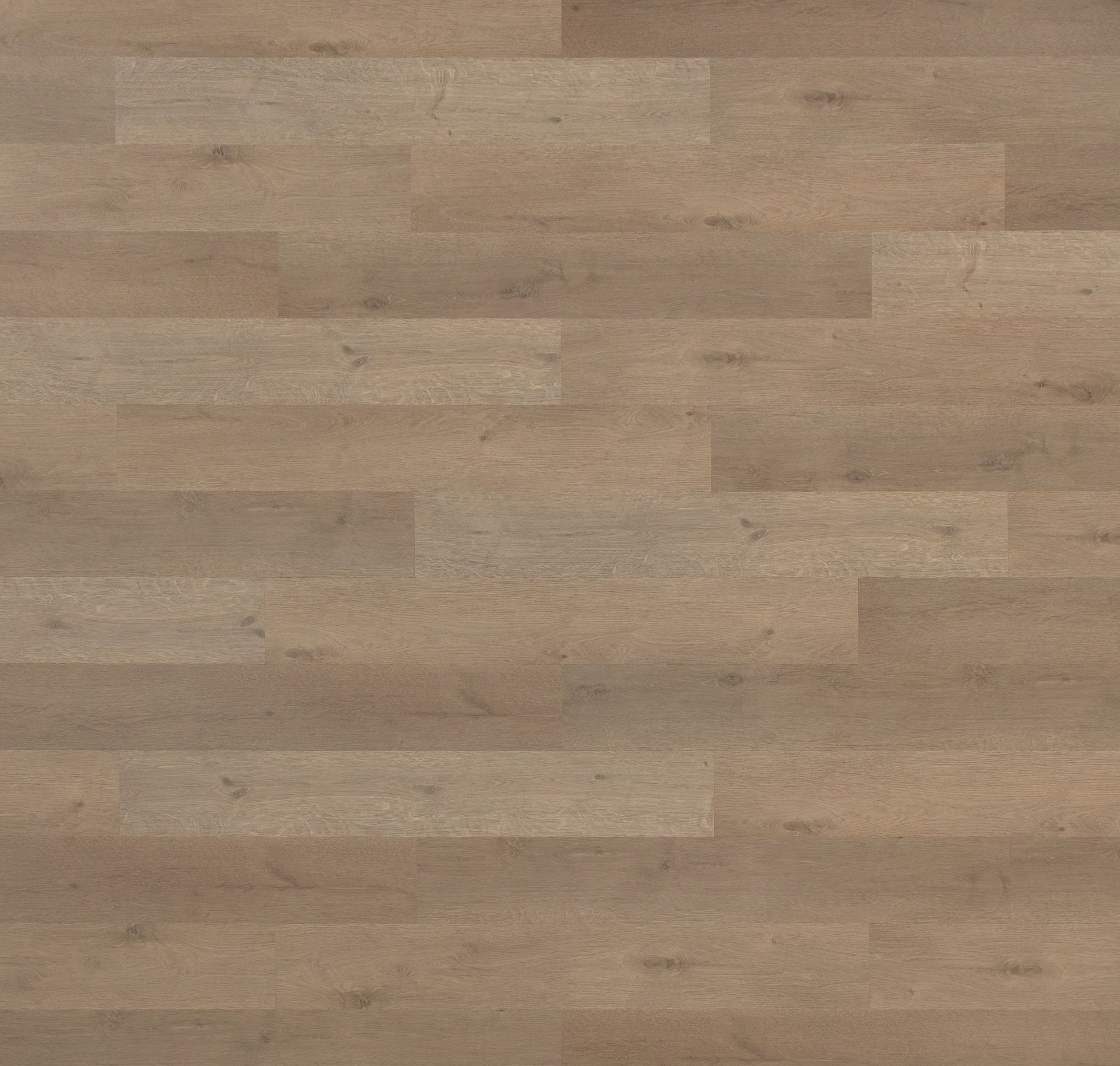 12mil Studio 12 Vinyl Plank Flooring - Product image