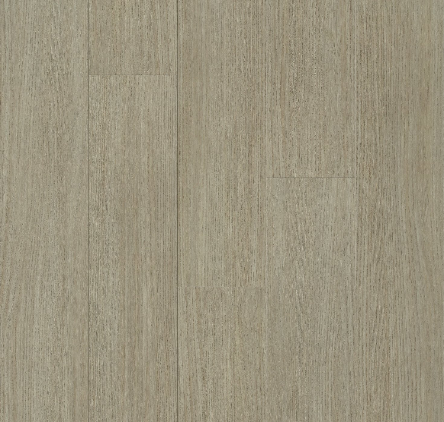 Charismatic - Product image