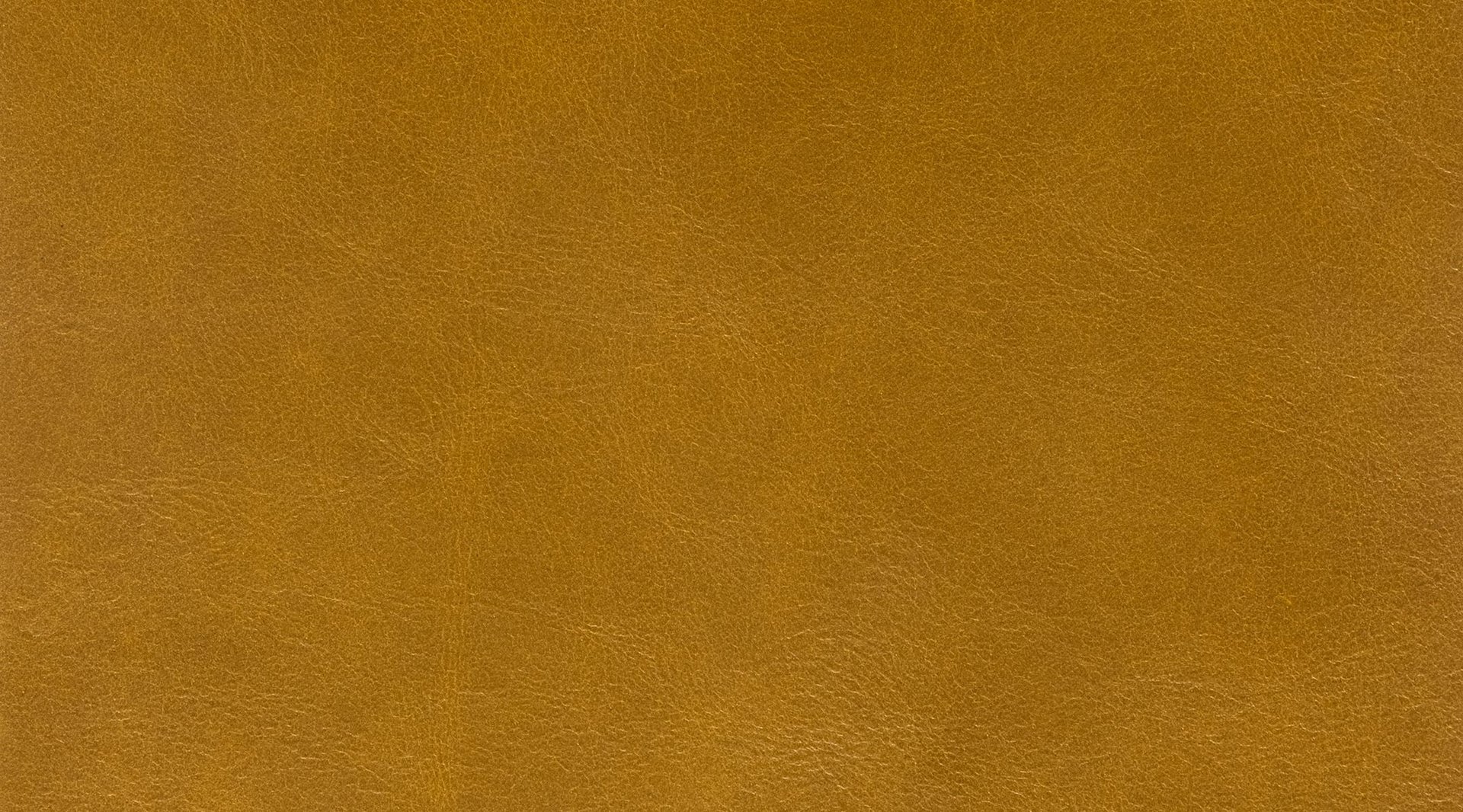 Cortina Leathers gallery 3
