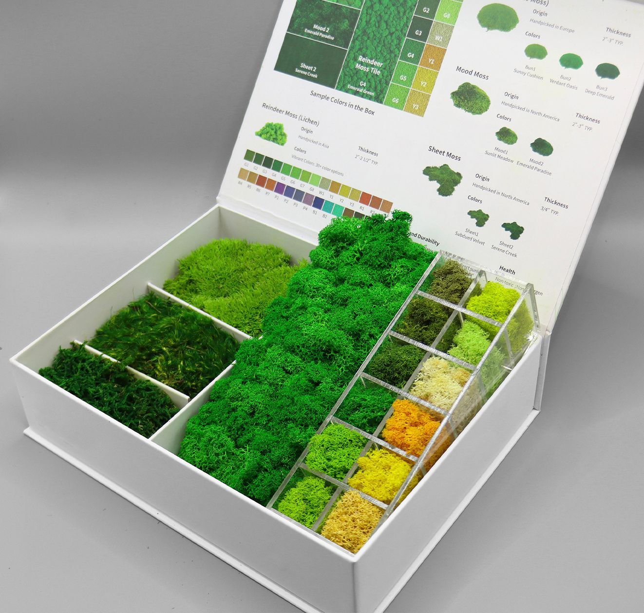 PRESERVED GREENERY- MOSS WALLS - Product image