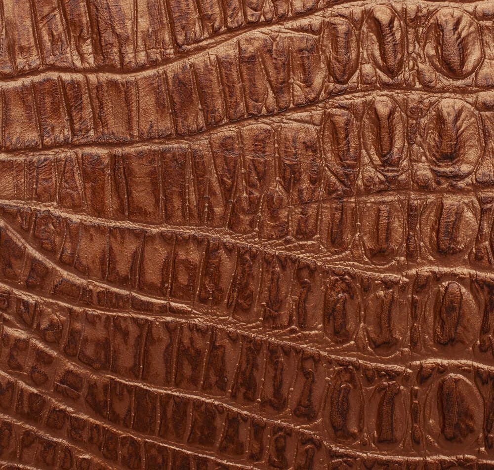 Alligatore - Product image