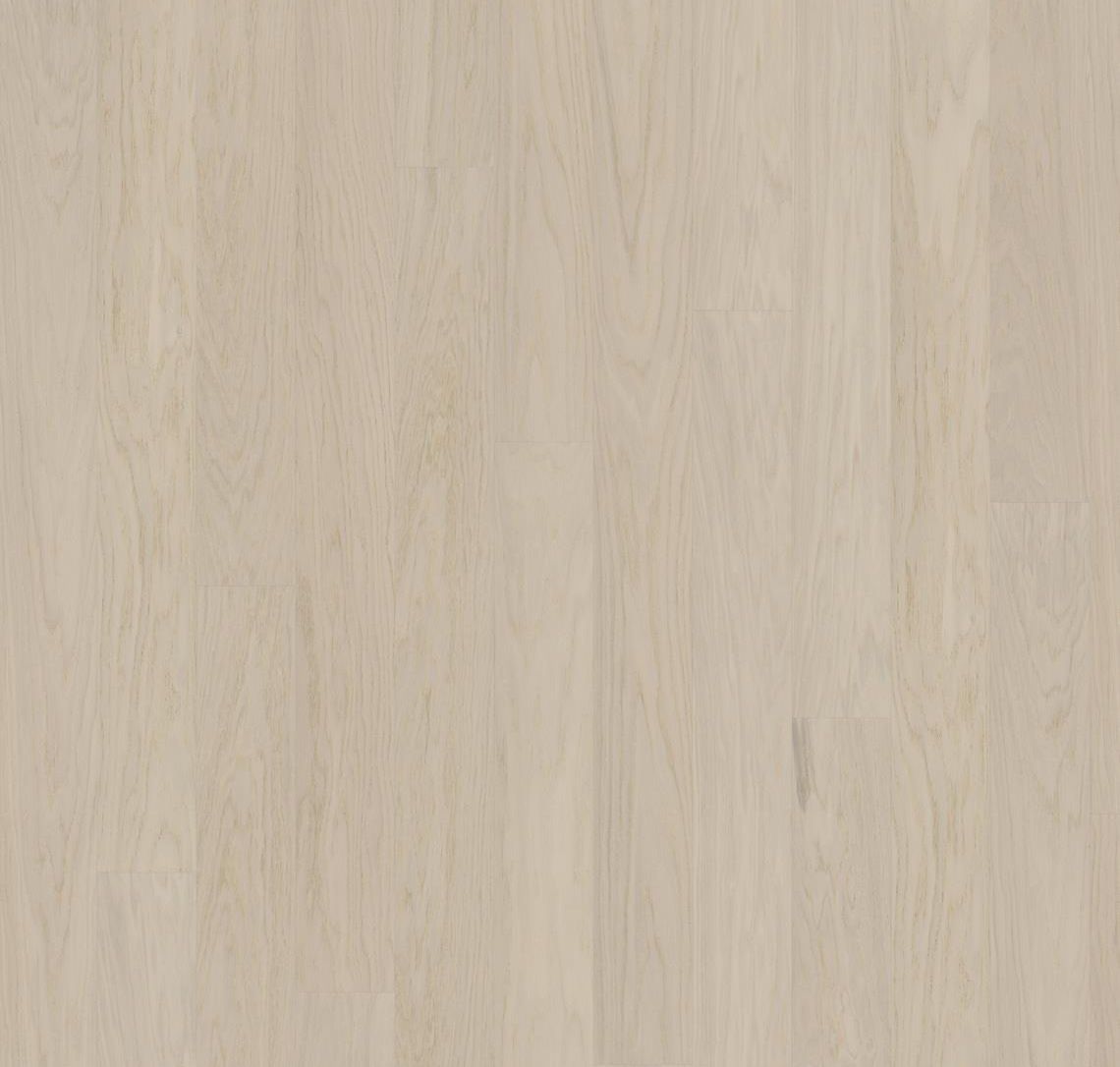 Coconut Cream - Product image