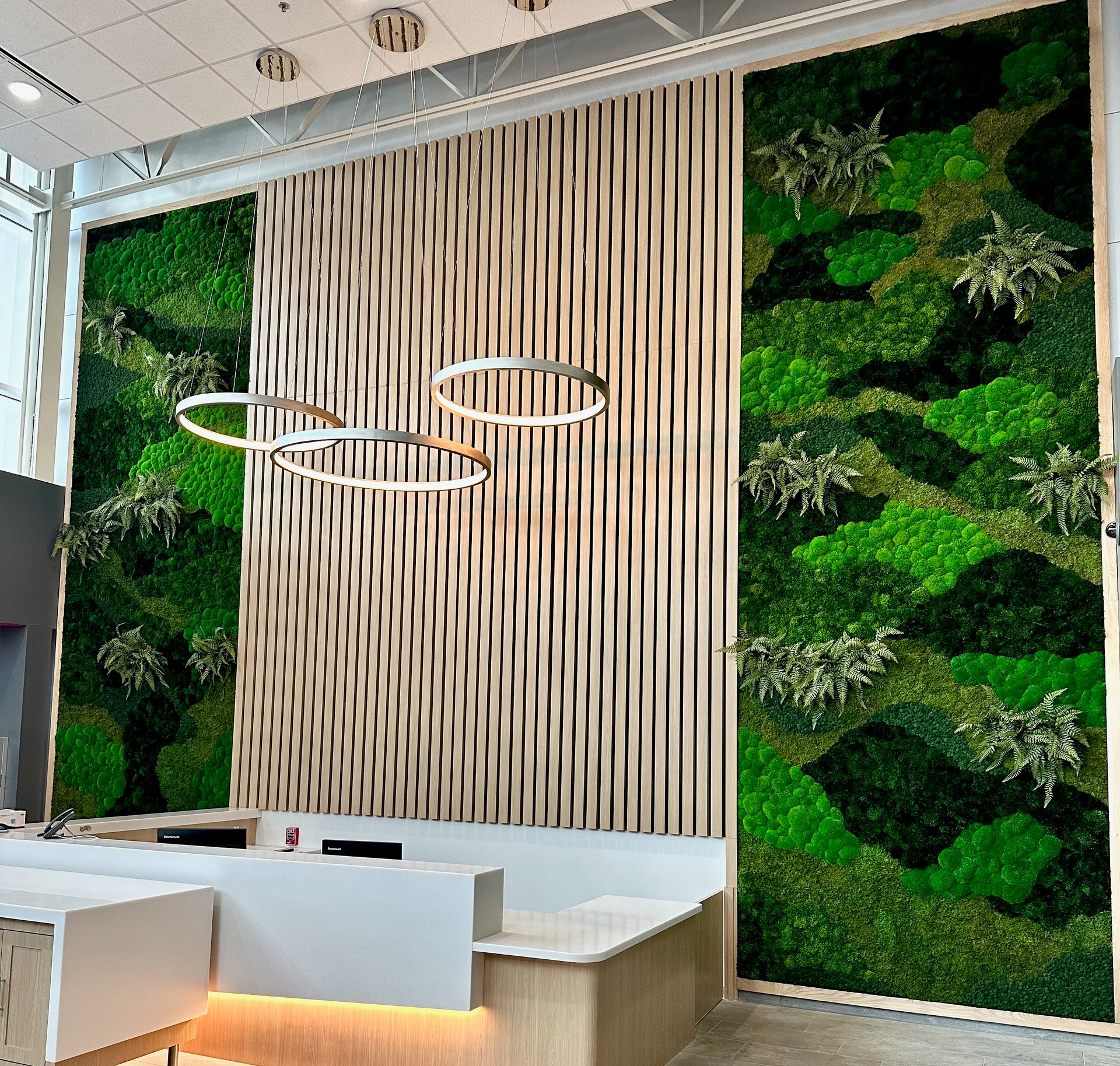 Moss Walls - Product image