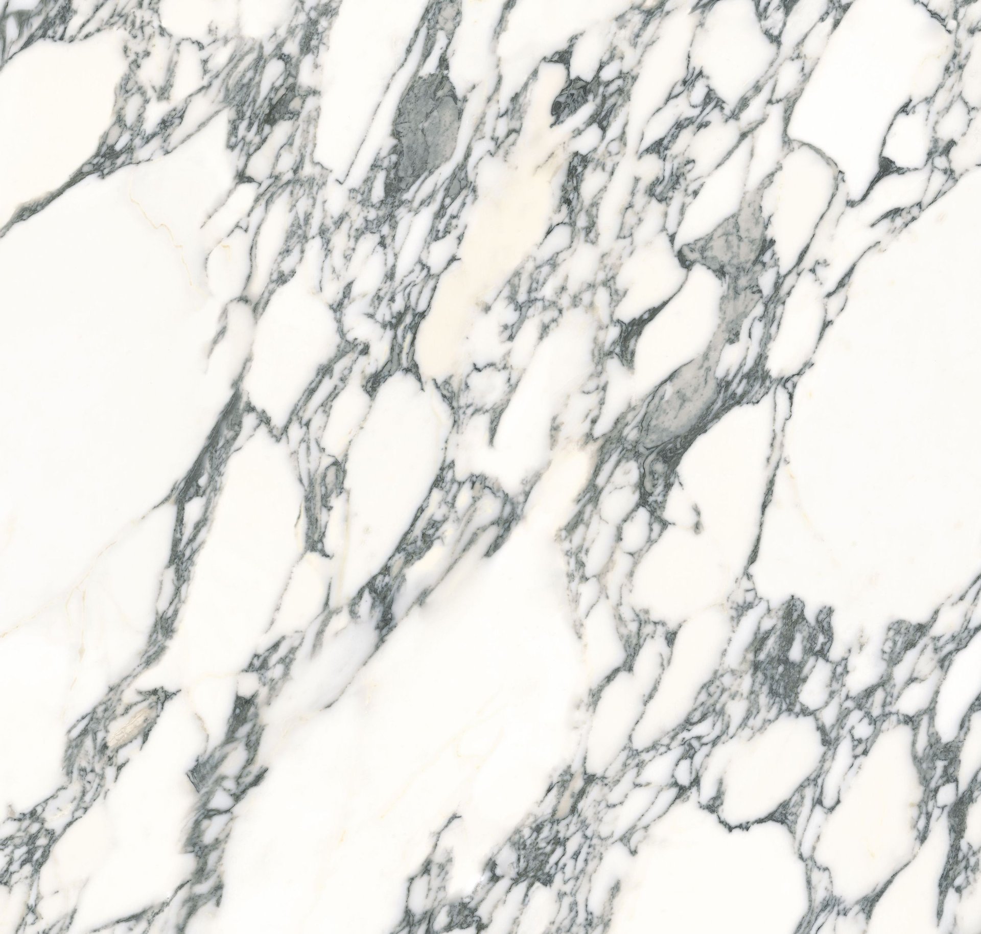 Arabescato Corchia - ITALSTONE - Product image