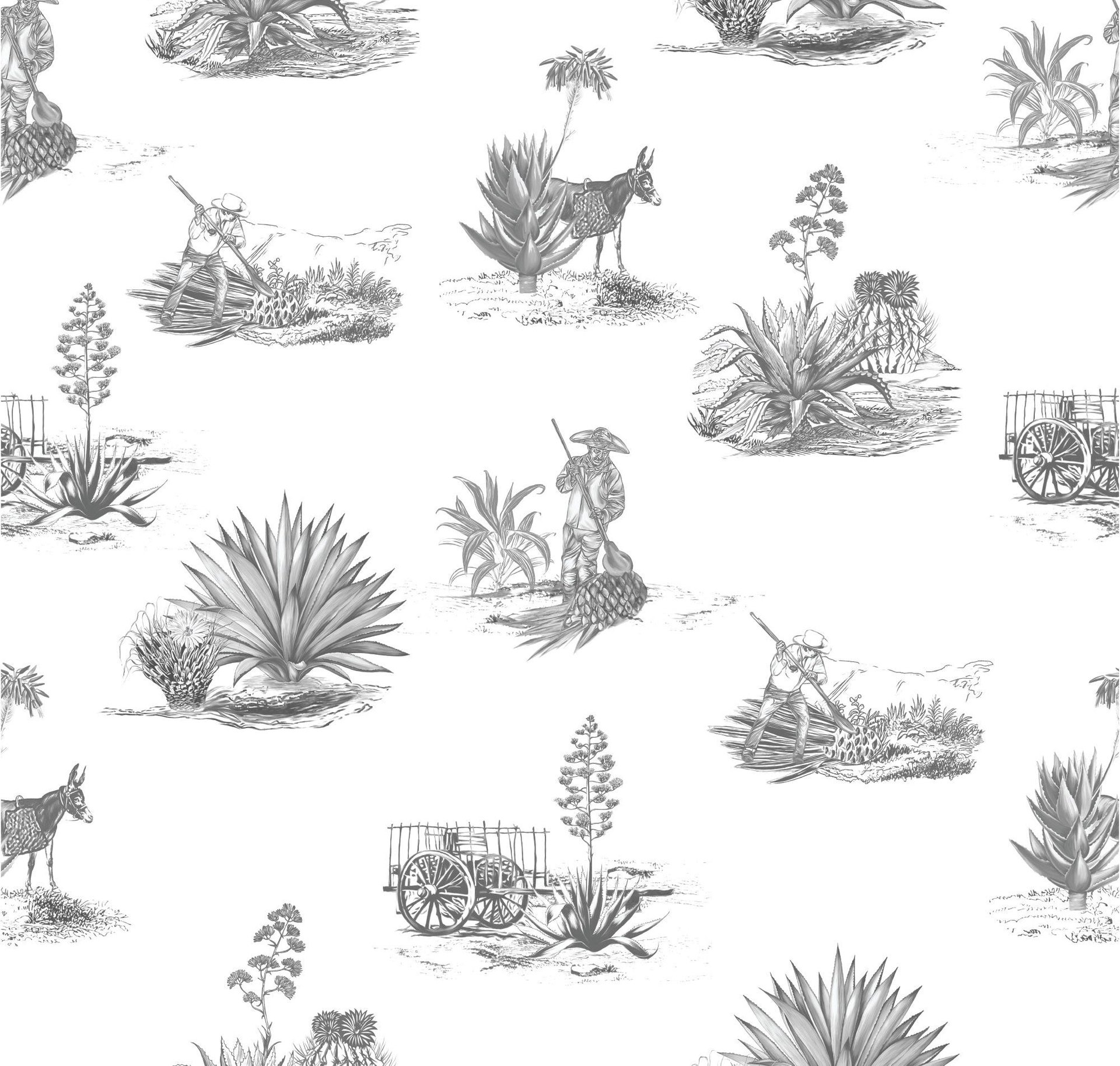 Agave Harvest - Product image