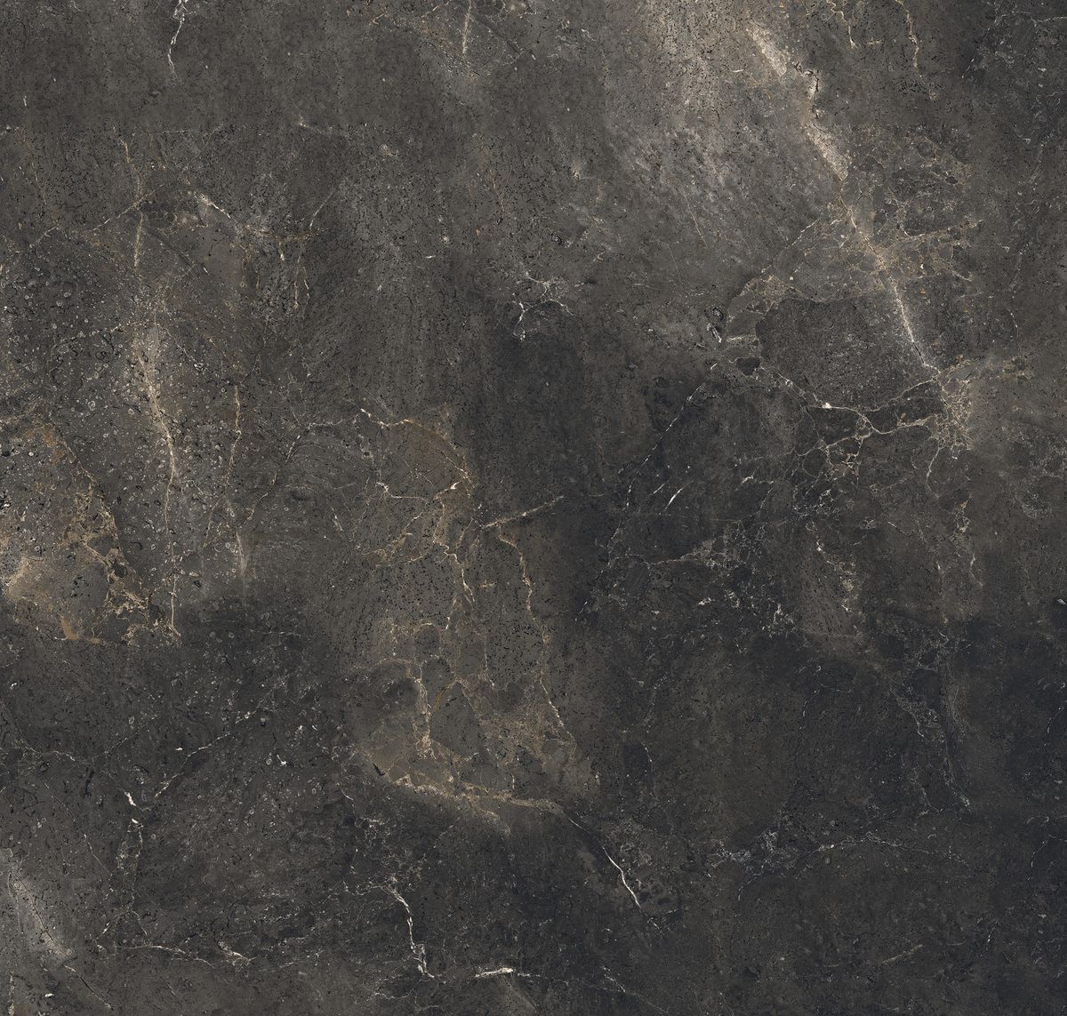 Aion Maximum - Product image