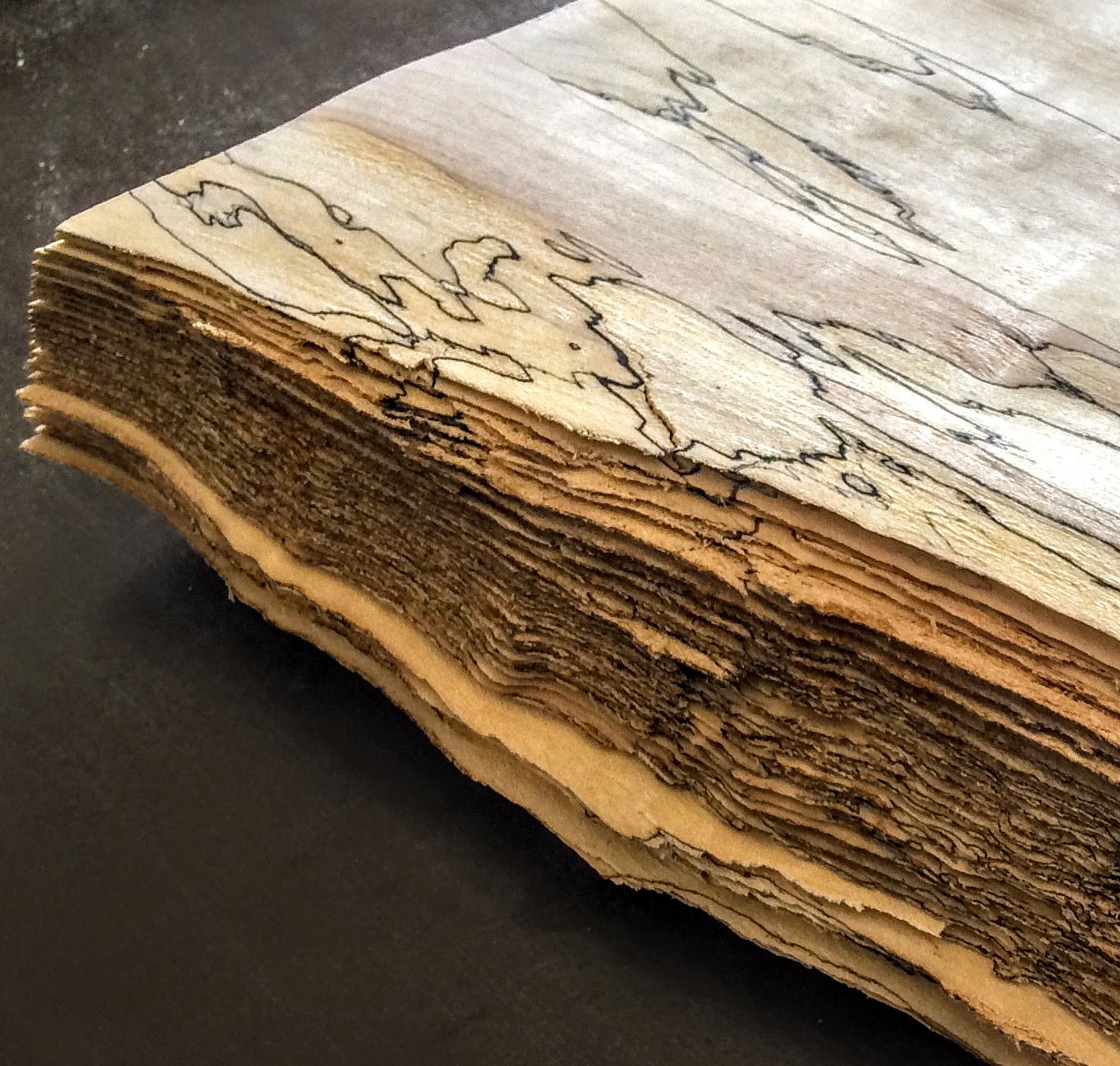 Spalted Maple Veneer - Product image
