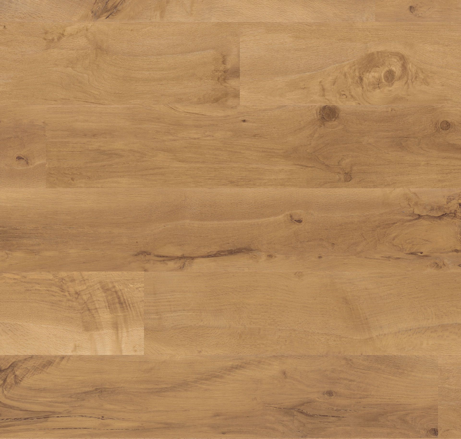 Auckland Oak - Van Gogh Gluedown - Product image