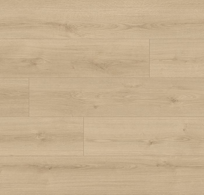 AC4 Home 1L - Product image