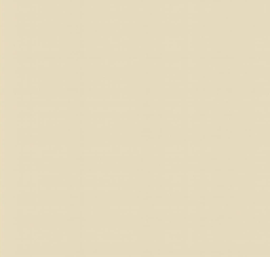 Champagne - Product image