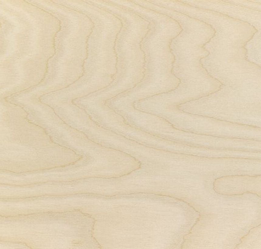 Elegance Birch - Product image