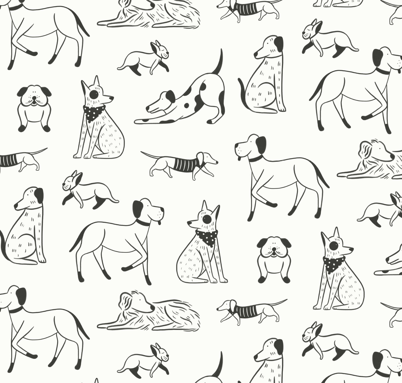 City Dogs - Product image