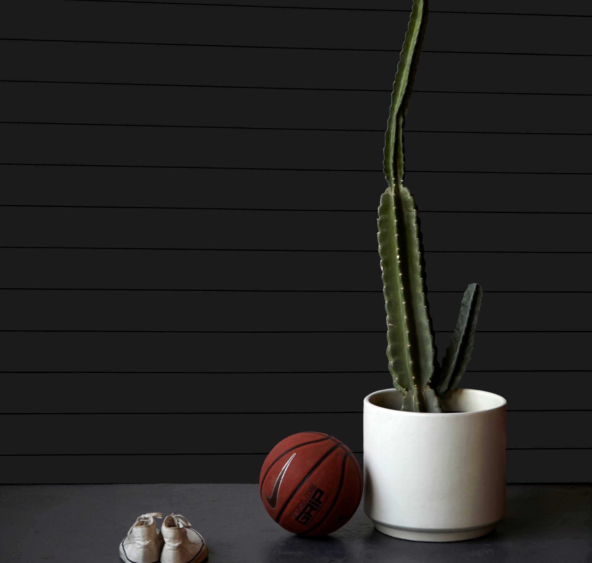 Classic Shiplap - Product image