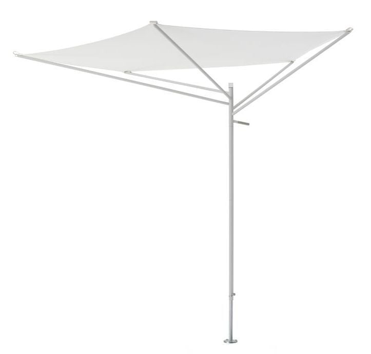 Acacia - Product image