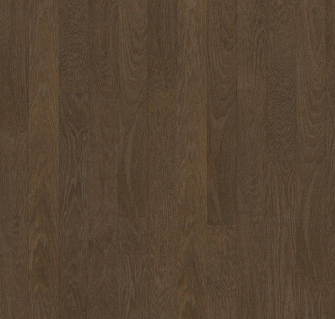 Cocoa Bean - Product image