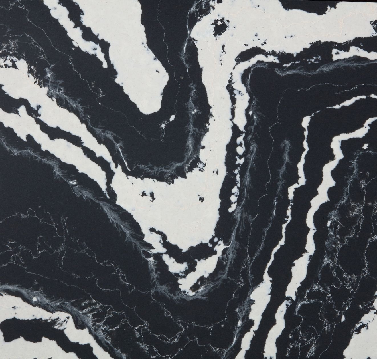 BLACK SWAN - Product image