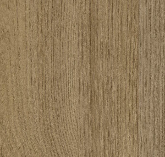 Acorn Velvet Elm Traceless - Product image