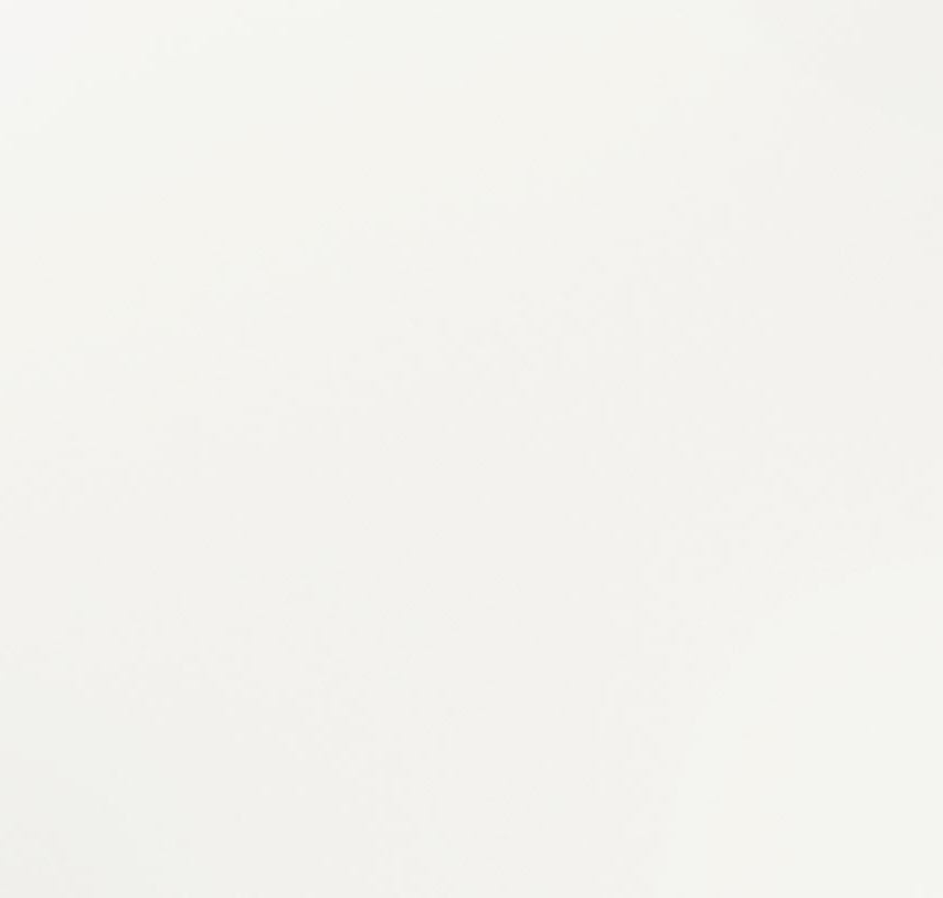Alpine White Matt, Secure Plus - Product image