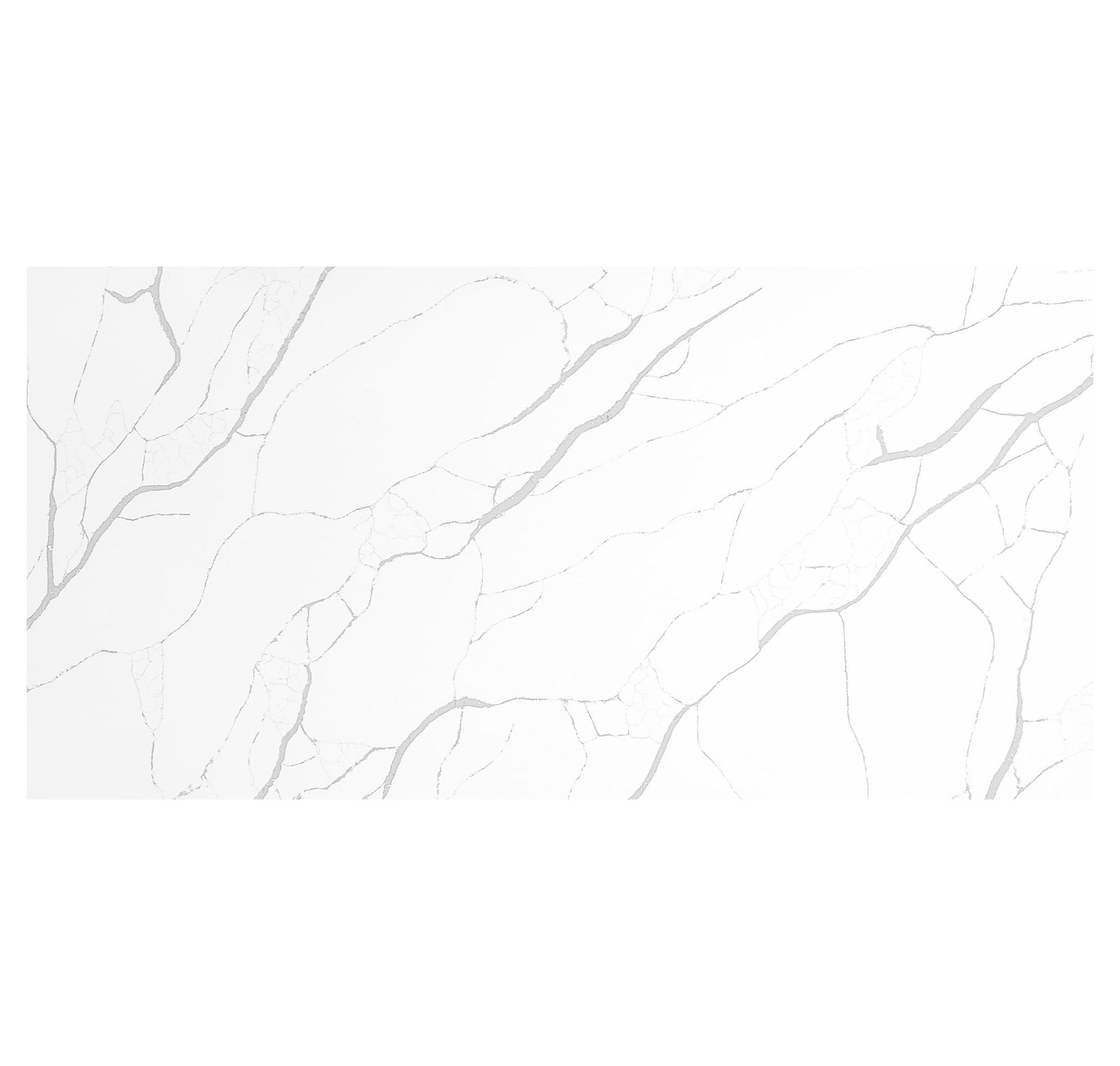 Calacatta Bellino Gris - Product image