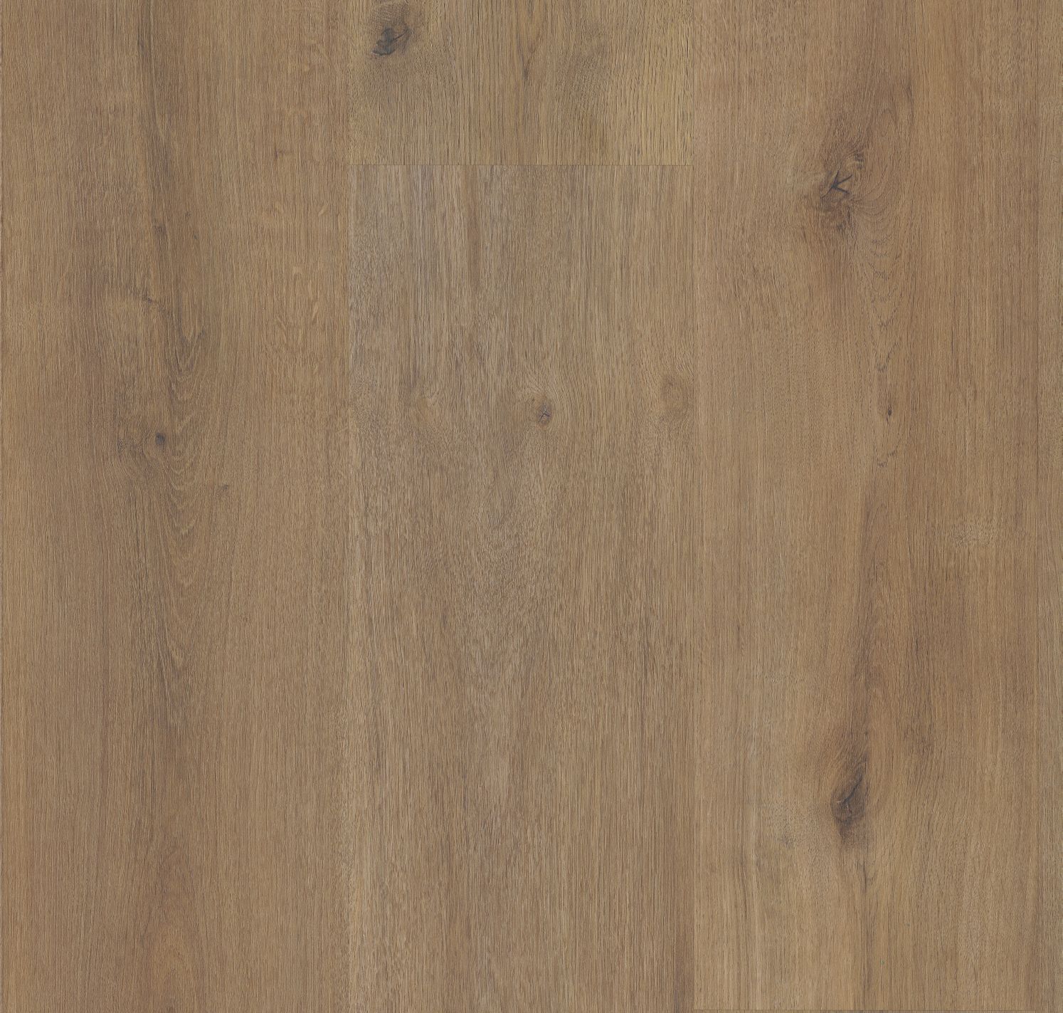 Eagle Scout - Product image